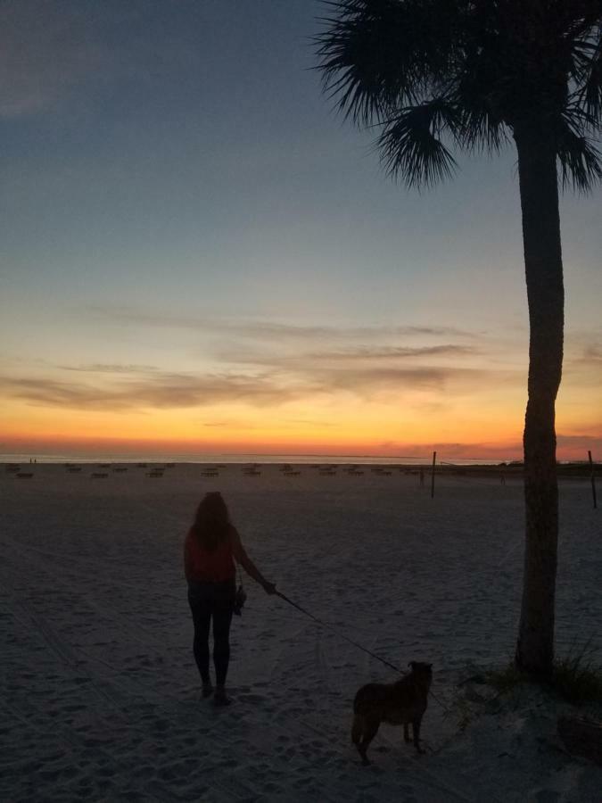 Carousel Beach Inn Fort Myers Beach Εξωτερικό φωτογραφία