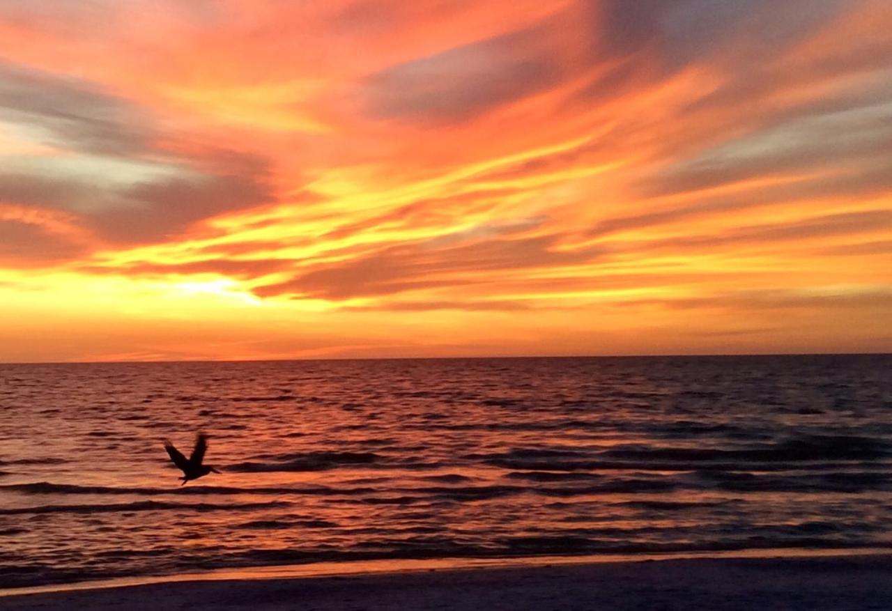 Carousel Beach Inn Fort Myers Beach Εξωτερικό φωτογραφία